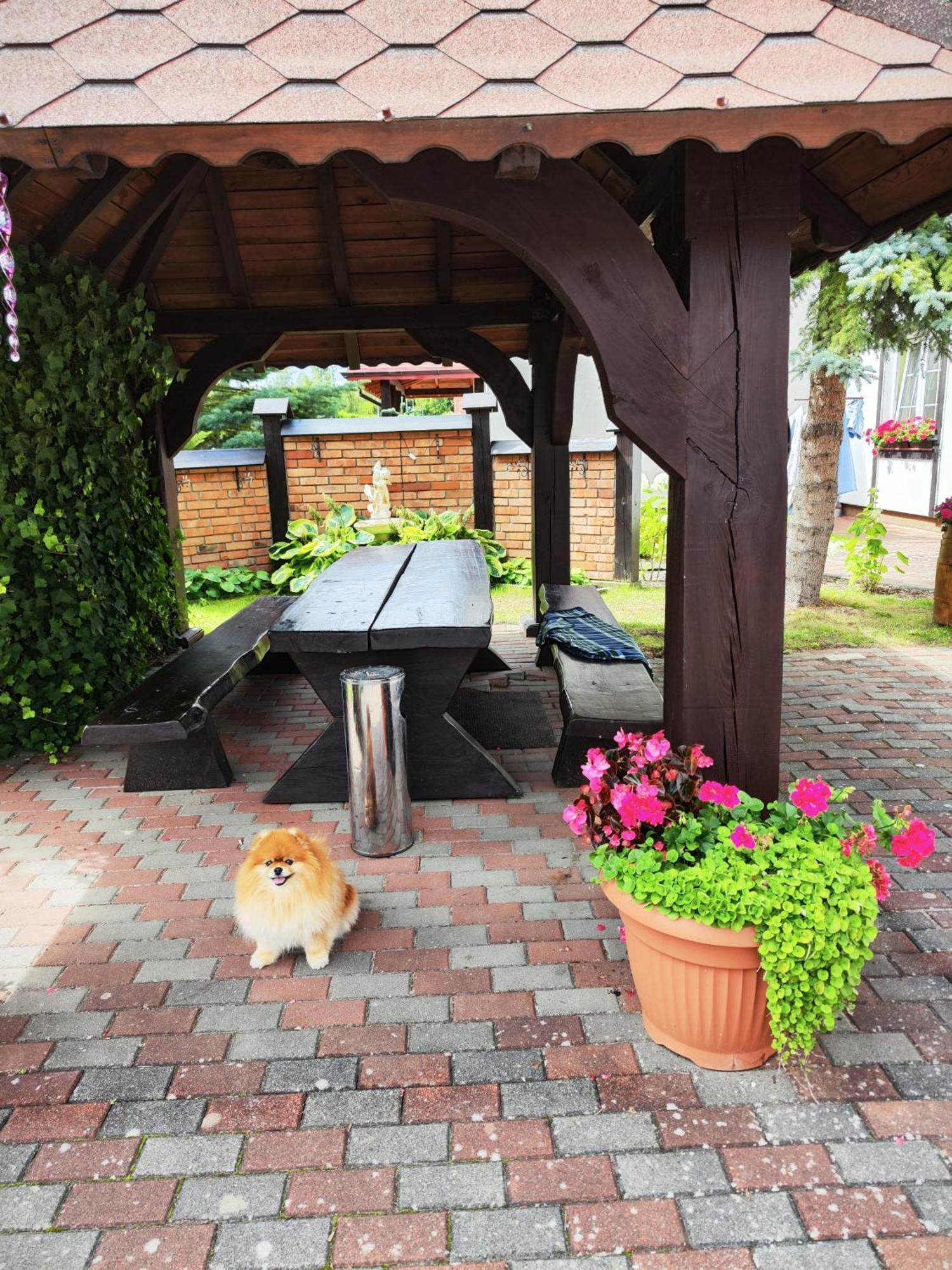 罗威Michalek W Rowach住宿加早餐旅馆 外观 照片